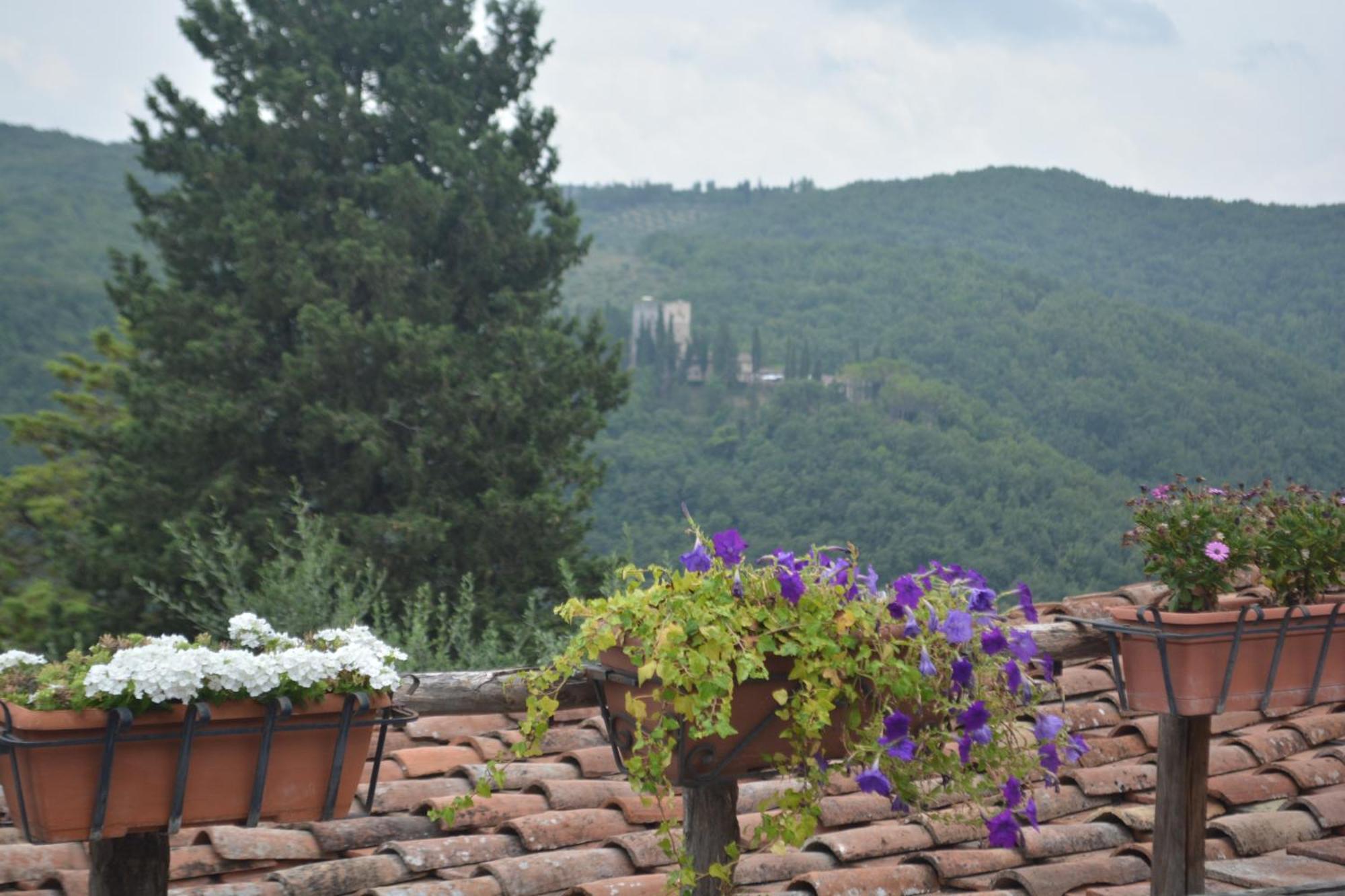 Willa Celle Di Lecchi Nel Chianti San Sano Zewnętrze zdjęcie